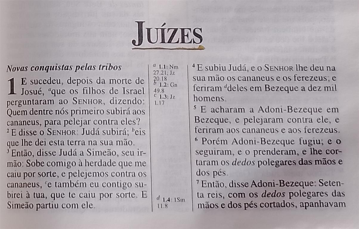 Imagem do Livro