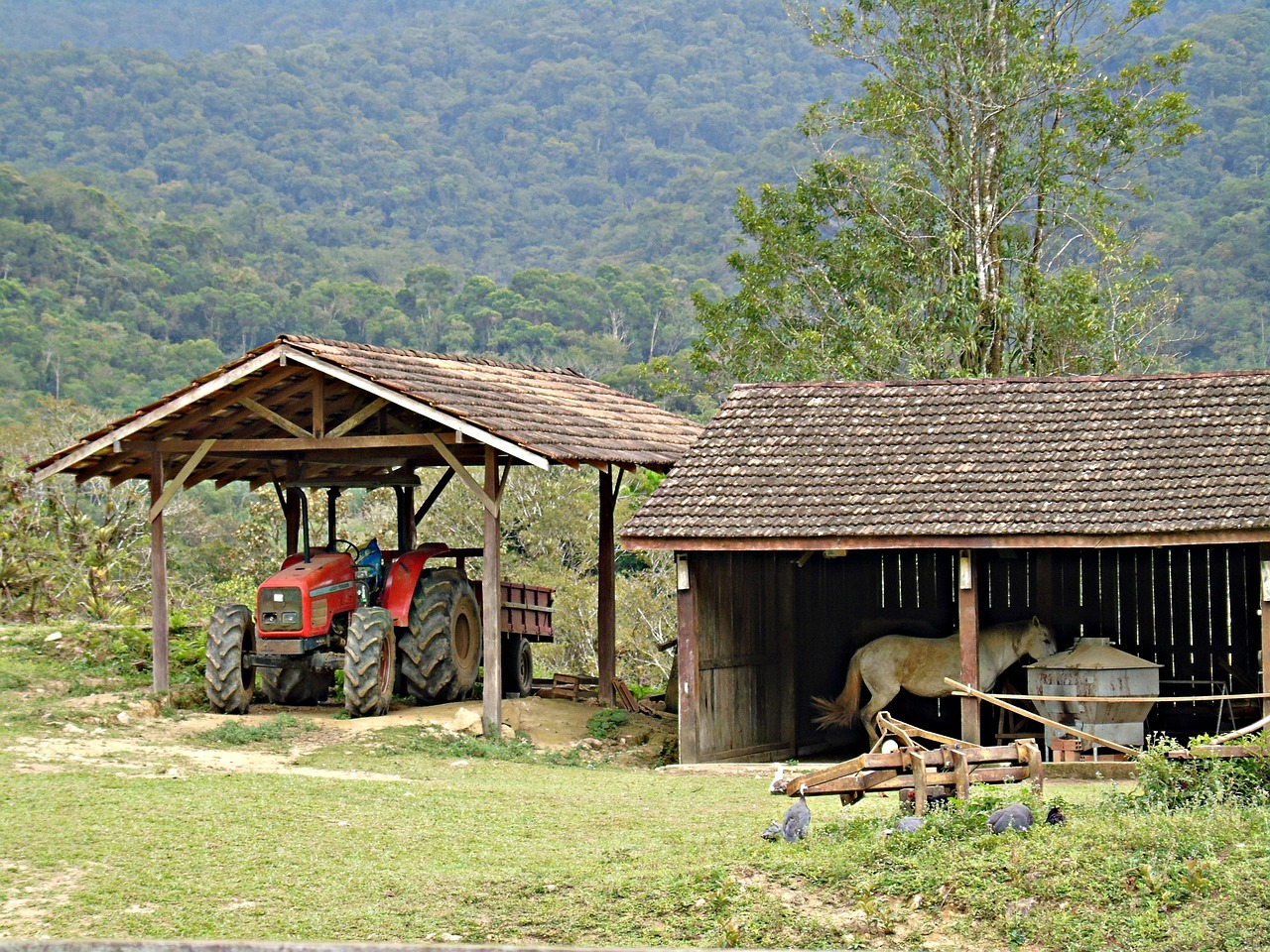 Foto principal do Post 46